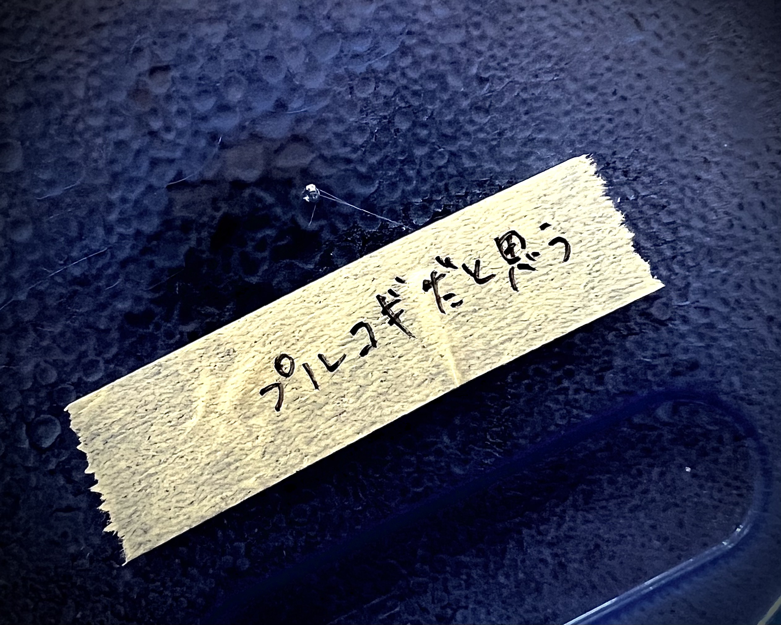 ある日の昼食に冷凍庫を開けたら、発見された作り置きに貼られていたメモ。
凍ると見た目で何かわかりくいので、容器に蓋をしたら即メモするのが良きですね。