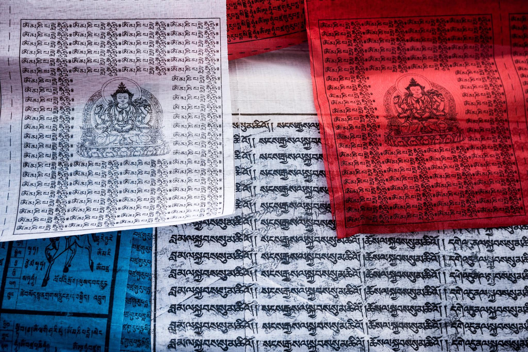 青蔵鉄道でチベットを訪問してエベレストを望む