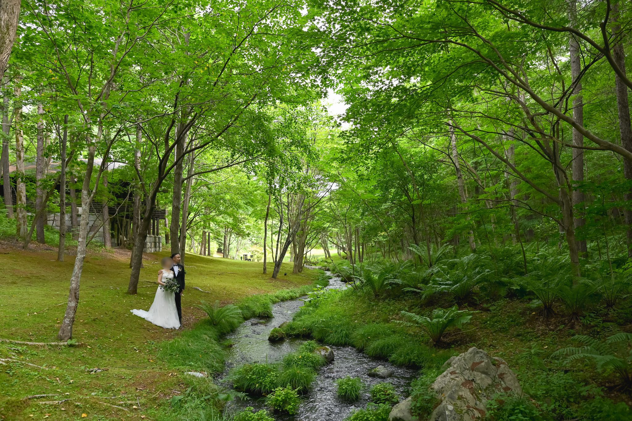 北海道らしい緑豊かなロケーションフォト